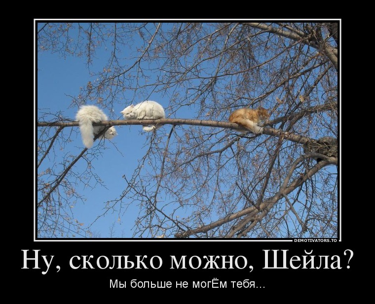 8f147ca280bc46b6831c49907ff64f7c.jpg
