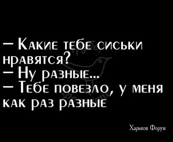 8f1b2d3f577e5322b328fb1b.webp