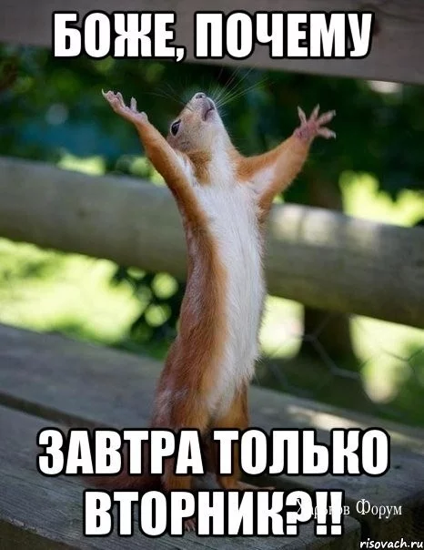 8f23aaad784cfd0d.webp