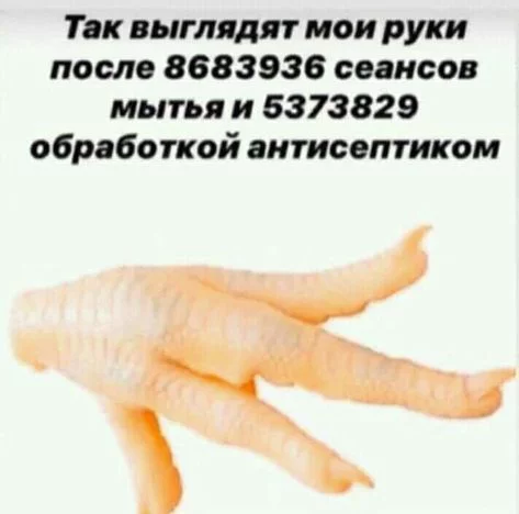 8f3834cc283e62cc126cdfa3cafc8b9d.webp
