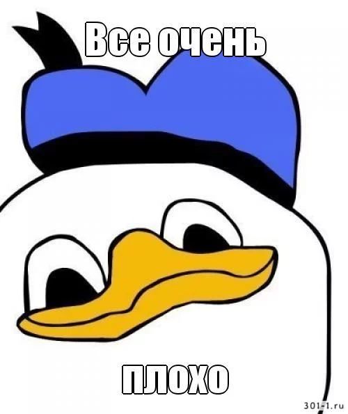 8f3e1a70e2070e04fa6910ccf6a5e9d5.webp