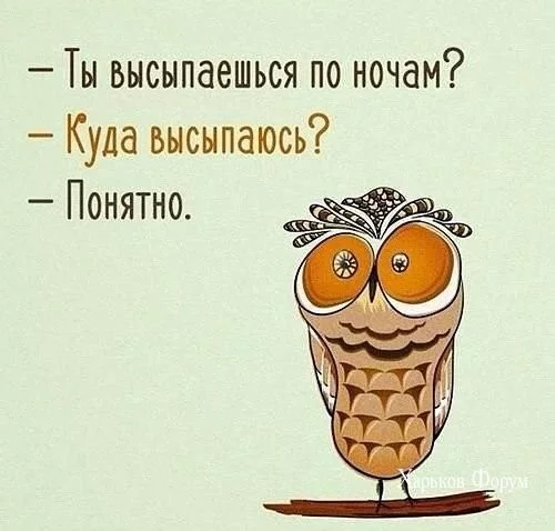 8f485137d83103f6f.webp
