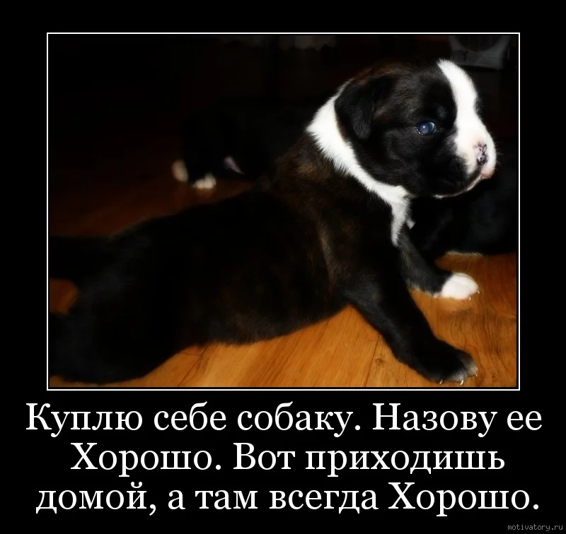 8f58857d52.webp