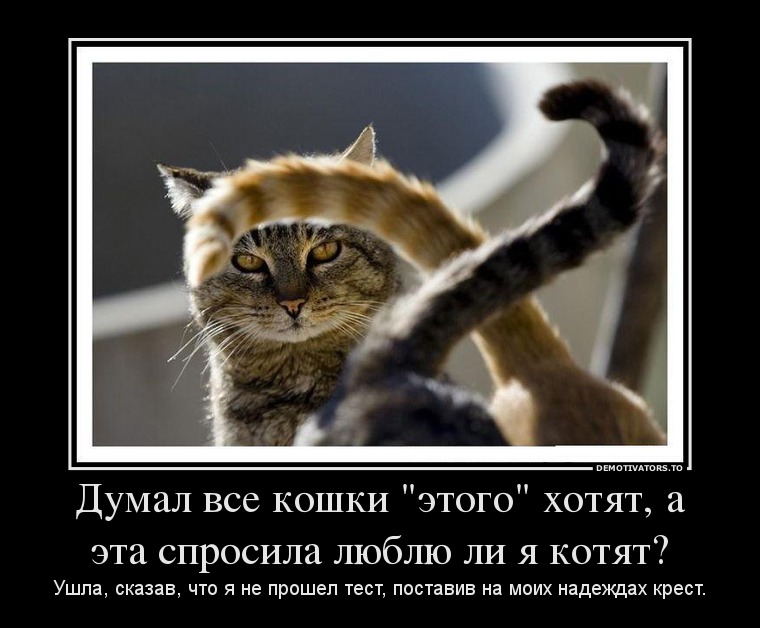 8f603a1b47819eb8ea95aa1d0fb72f7e.jpg