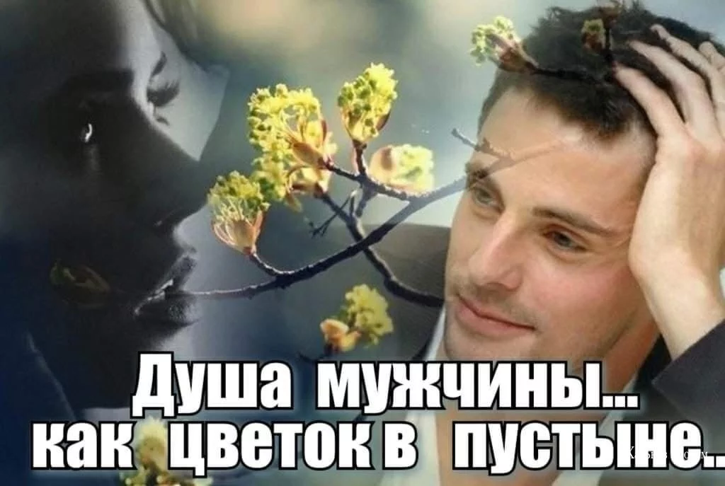 8f641d107b57c7d496492c0.webp