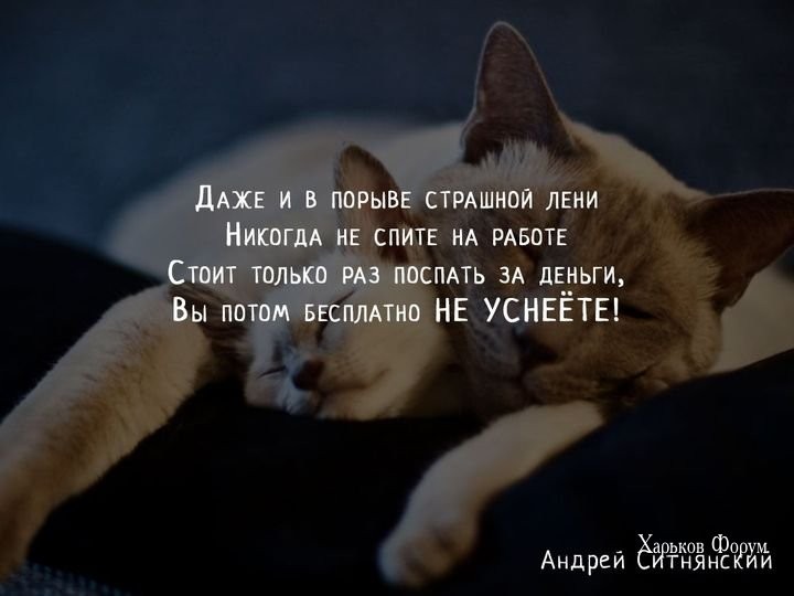 8f70a02dbdfeeb95dd1.jpg
