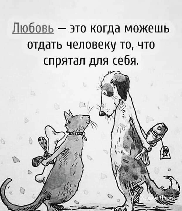 8f7b67eb4bfa0d3f688.webp