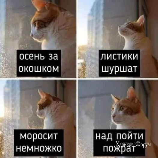 8f80eb8e8dd6864f737d.webp