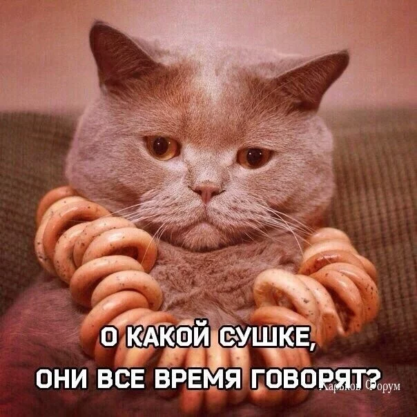 8f834d80f09add3509f.webp
