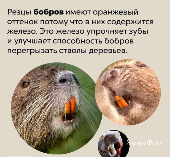 8f9cd6ad712cf40b2fbf61c.jpg