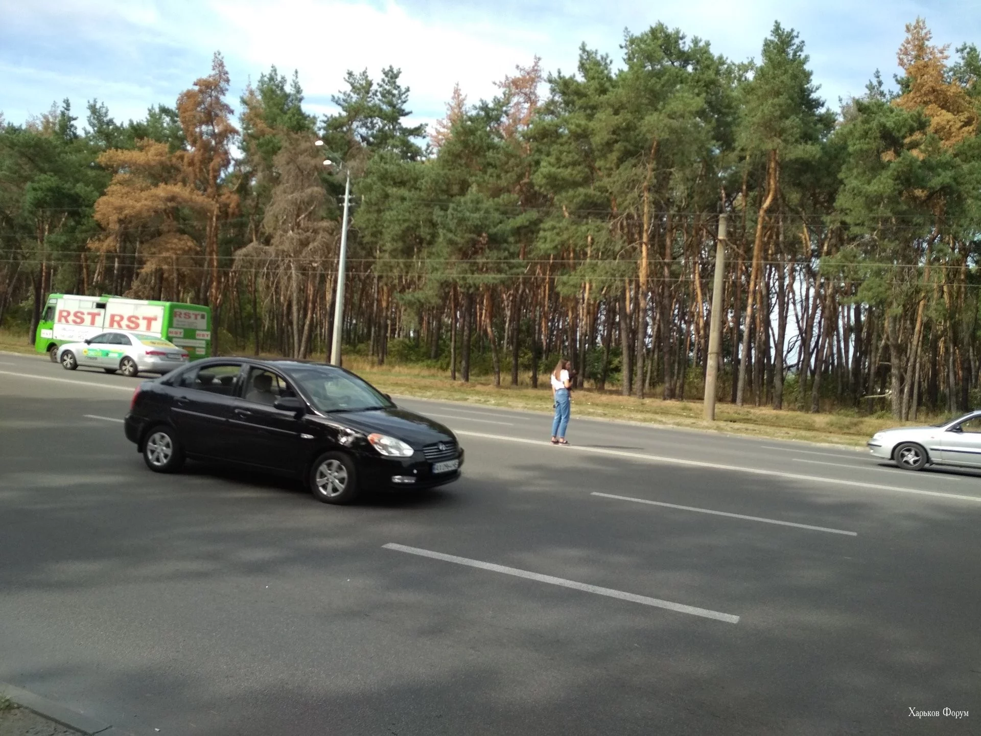 8faf8b452120cce1f4.webp