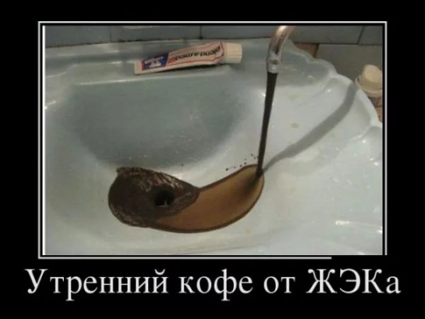 8fbejg.webp
