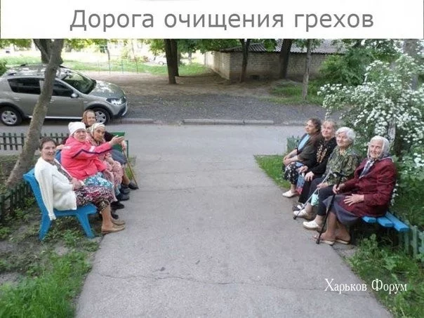 8fc48ef202eafd82dd3a.webp