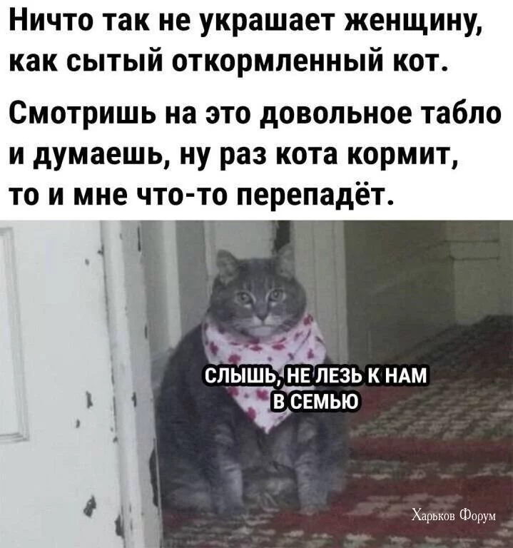 8fc55ba7fad4a6d61.webp