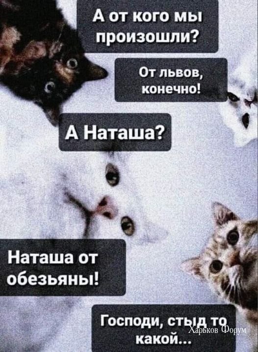 8fdf14f6c45131a8.jpg