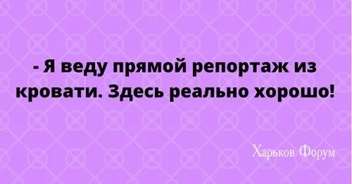 8fe65ad110b7b48c7623.webp
