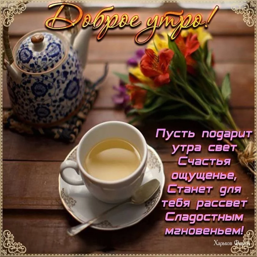 8ff0c30db0fe3ea1e0864799.webp