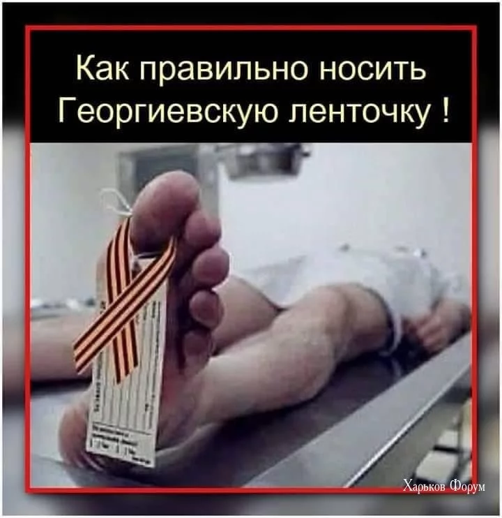 8ff5a8abf0c692153a.webp
