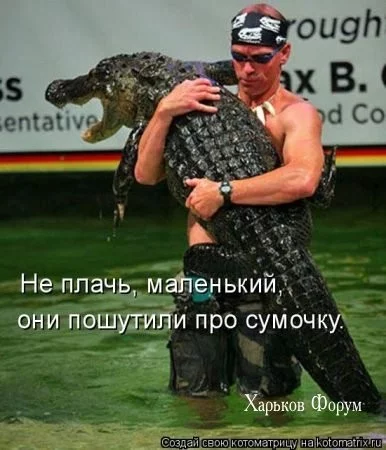 8ffbd2be4e743051.webp