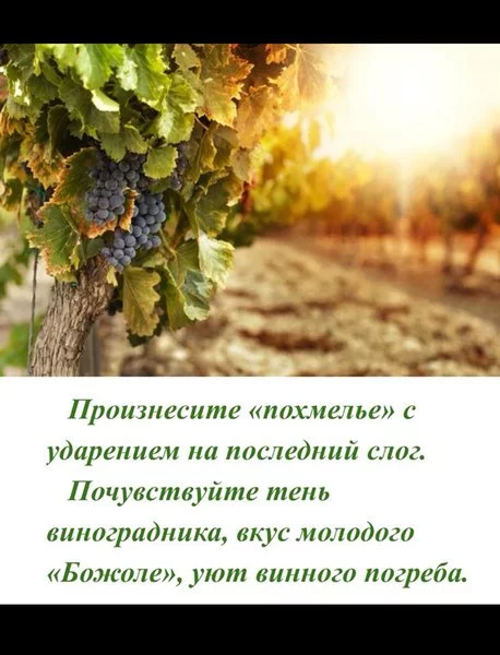 8fhgfc.webp