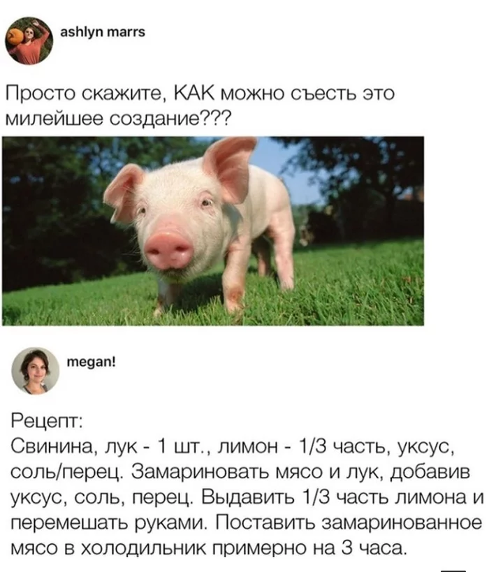 8fjcch.webp