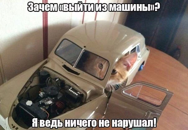 8fvaIntfMC8.webp