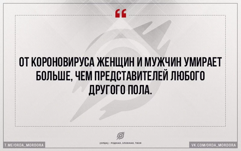 8fYYjVYPCyM.webp