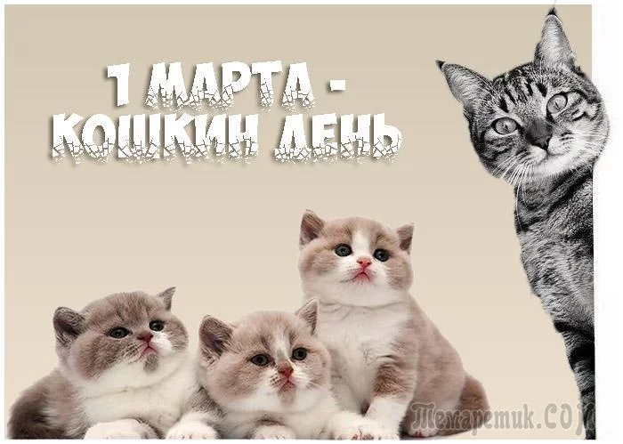 8gabcd.webp