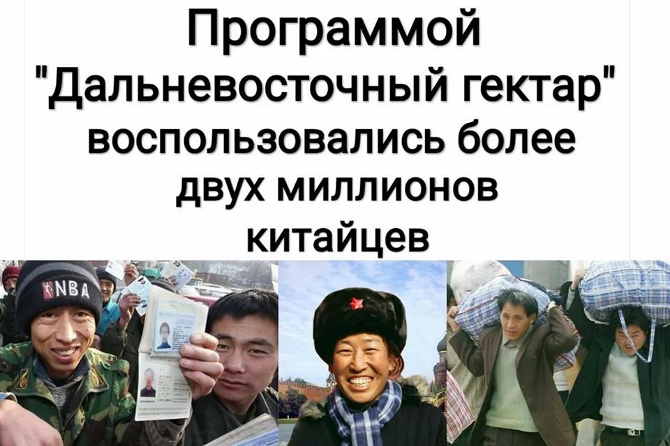 8gcafg.webp