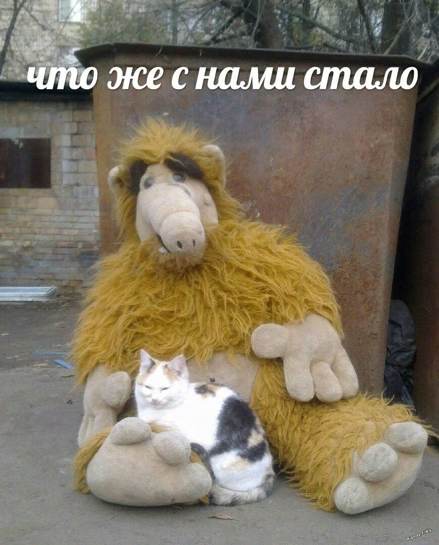 8gcchj.webp