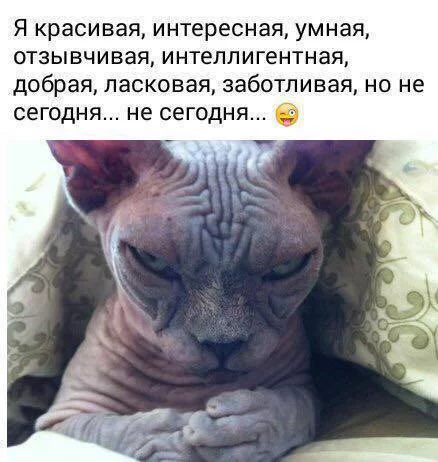 8gdcgh.webp