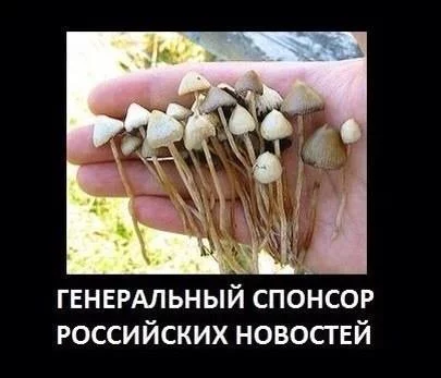 8gddjf.webp