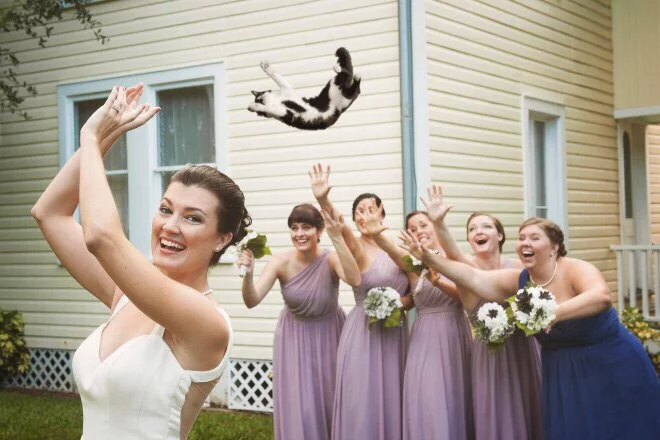 8gdjha.webp