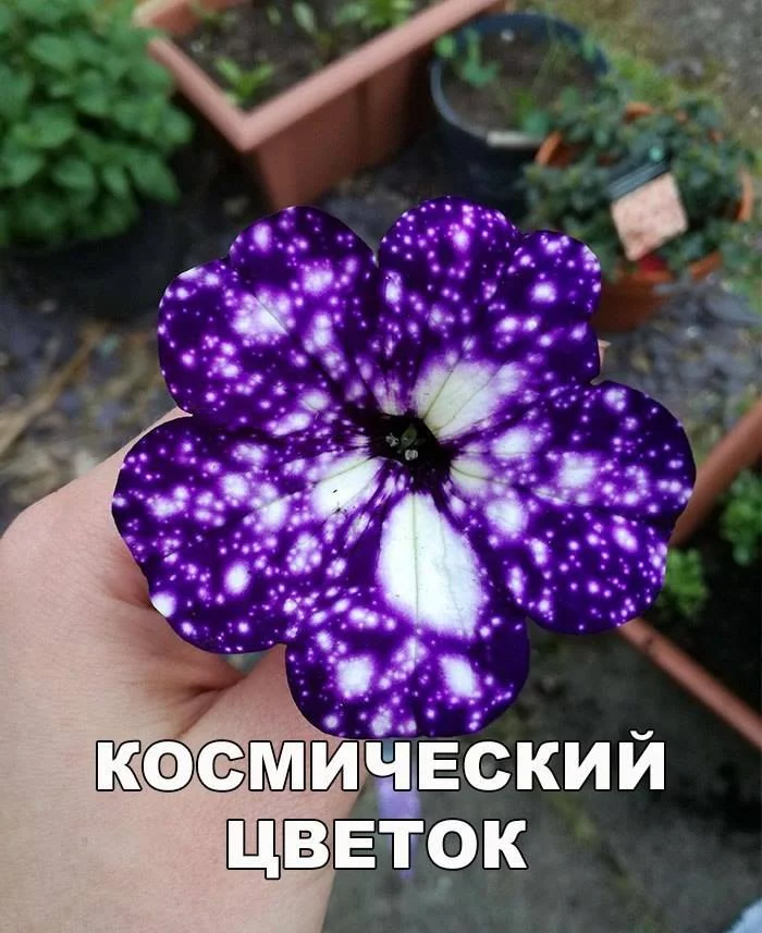 8gecbj.webp
