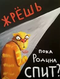 8gfbfb.webp