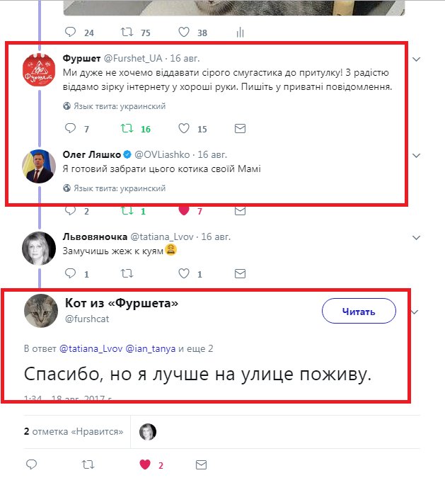 8hageg.jpg