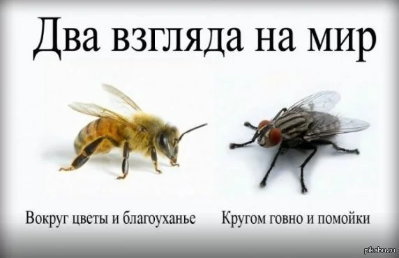 8hcdgf.webp