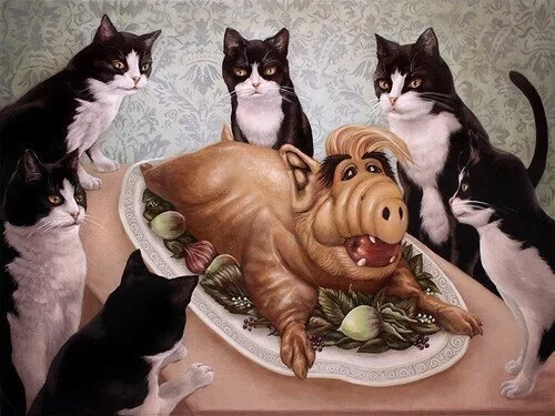 8hdhgf.webp