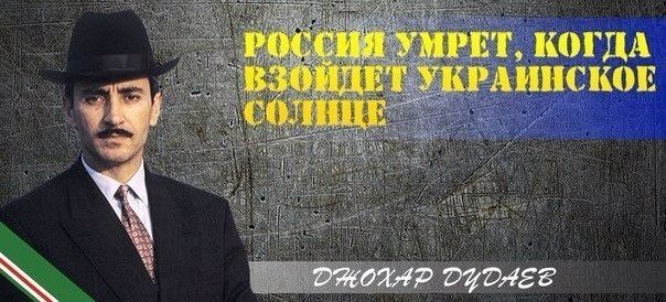 8hefdb.jpg