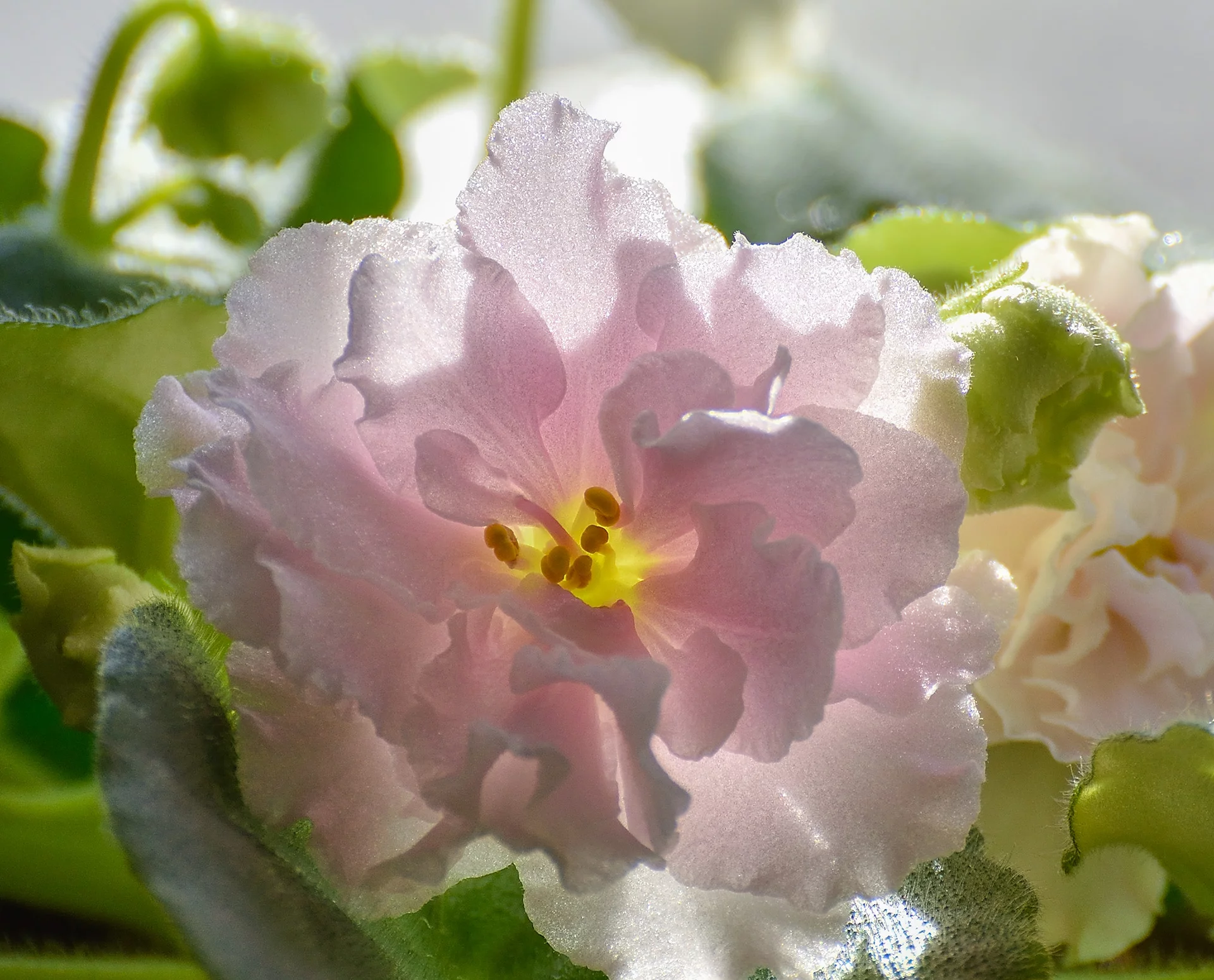 8hegde.webp