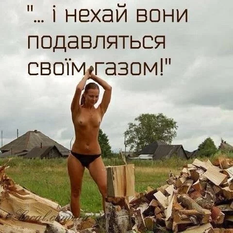 8hehdg.webp