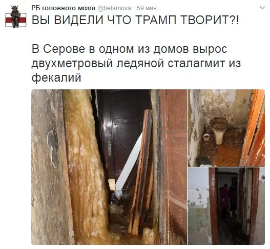 8hehfd.webp