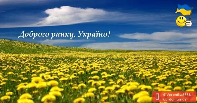 8hejcd.webp