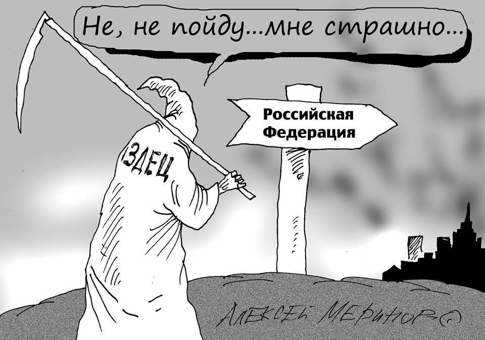 8hffaj.jpg
