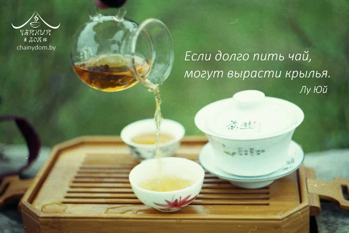 8hgaae.webp