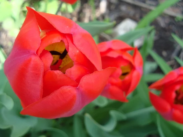 8hgfcd.webp