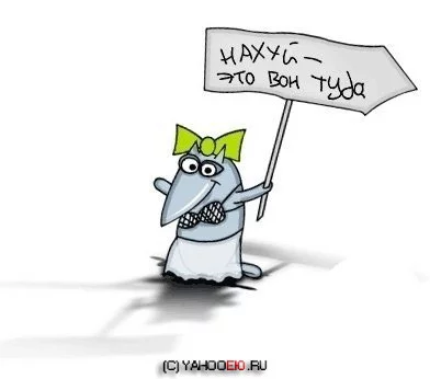 8hhccg.webp
