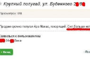 8hjdcg.webp