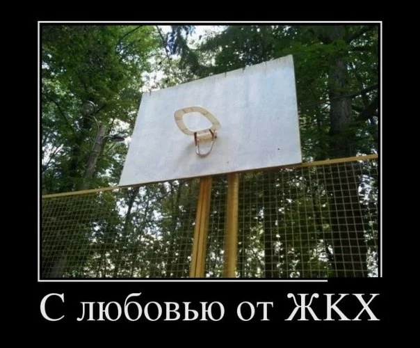 8ixLVDvqZV8.webp