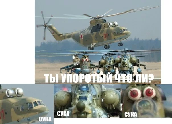 8iYOMqGXdWs.webp